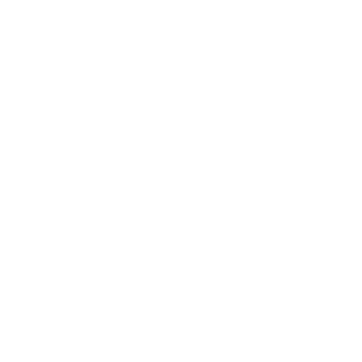 Studio54 Logo